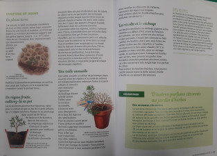 bibleplantesaromatiques2(3).jpg
