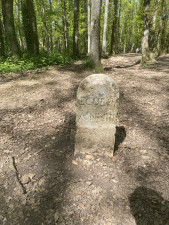 IMG_1990.jpeg
