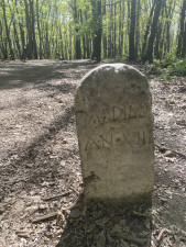 IMG_1991.jpeg