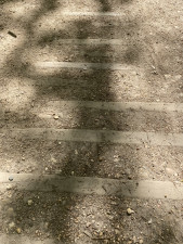 IMG_1993.jpeg