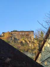 IMG_20250318_074340.jpg