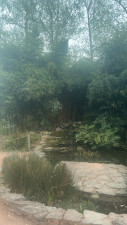 IMG_3198.jpeg