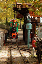 IMG_3245.jpeg