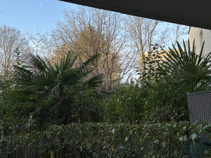 IMG_5845.jpeg