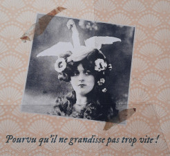 le pelican.jpg