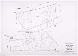 Section unique feuille n°4. Plan révisé pour 1931. 2e édition à jour pour 1977. - 03128, 5565W1 - Lot 1 - Média 1 - Archives du département du Rhône et de la métropole de Lyon.jpg