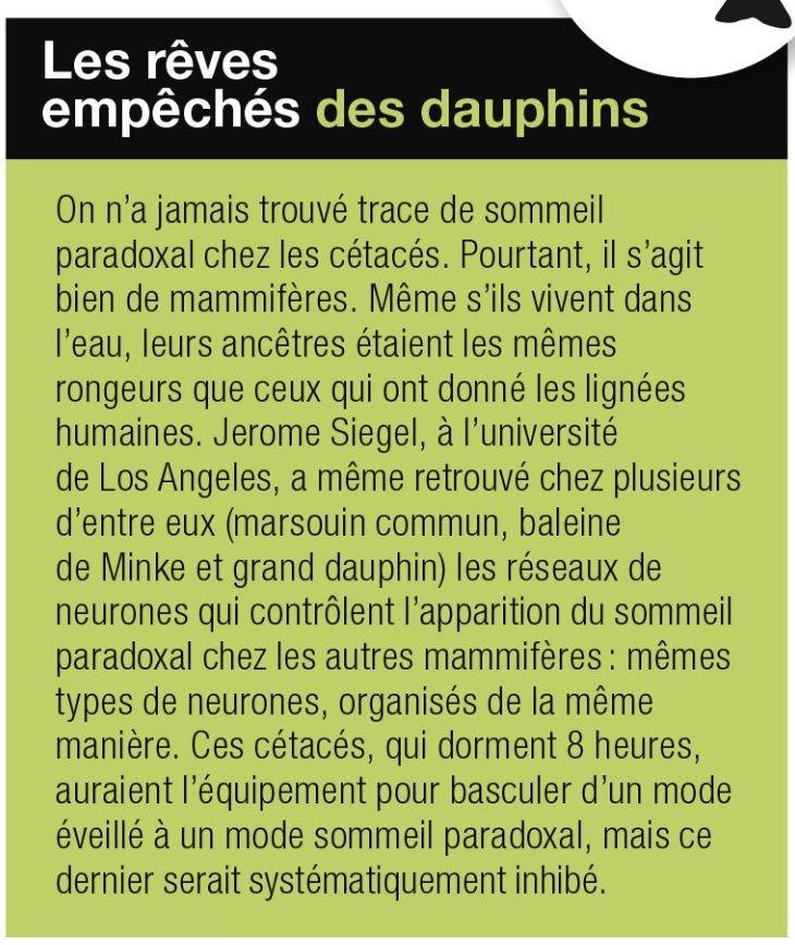 dauphin'