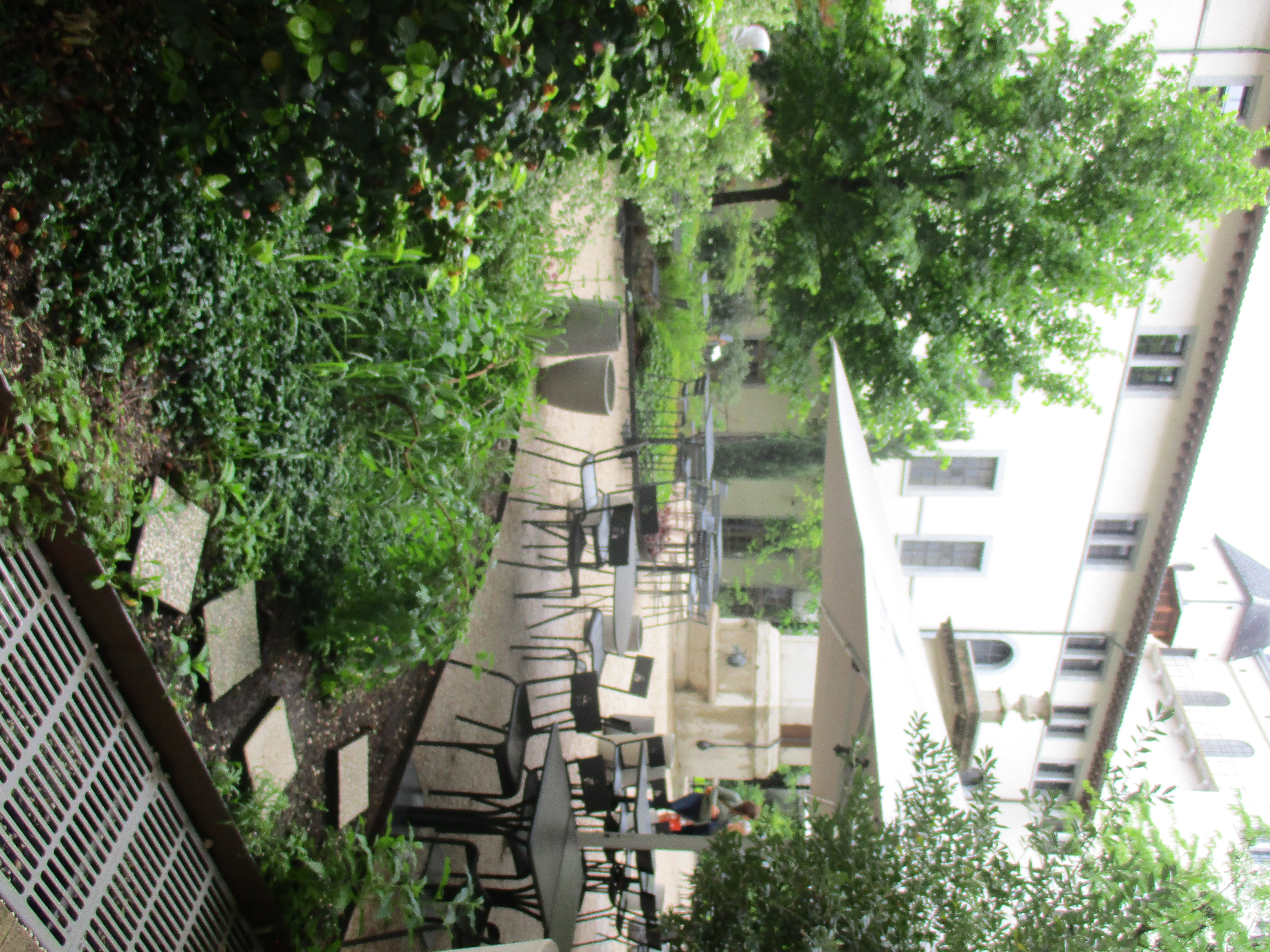Hôtel-Dieu,